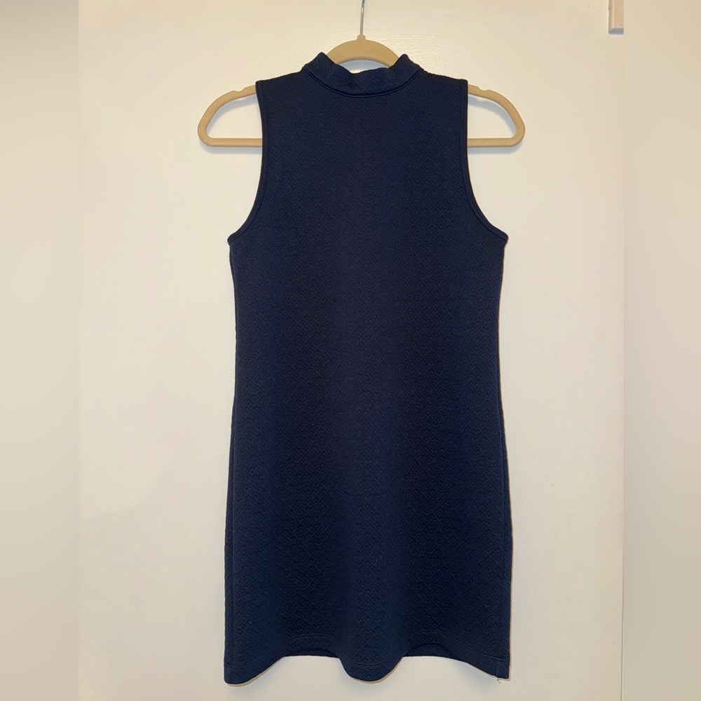 Abercrombie & Fitch sleeveless, mock neck dress